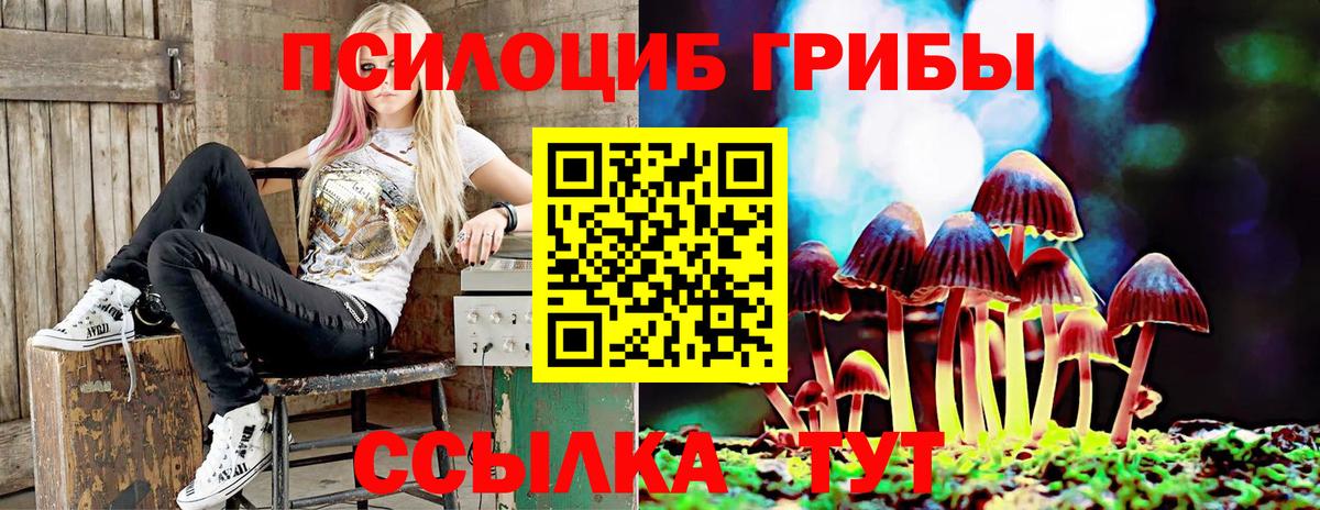 Галлюциногенные грибы Cubensis  Вход с VPN  Кашира 