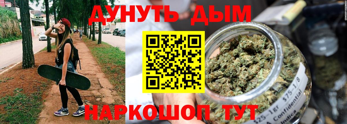 Канабис семена Кашира